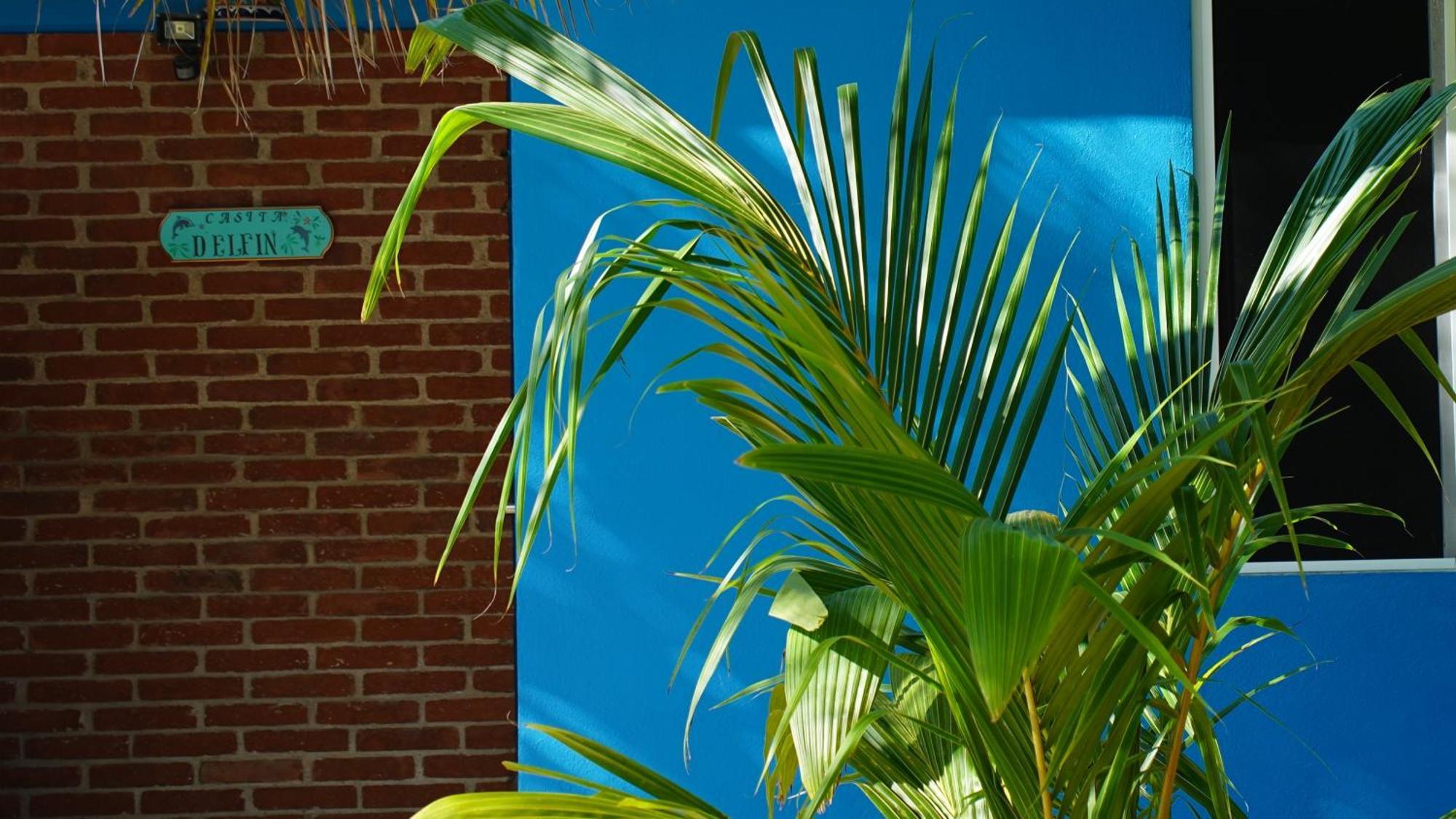 Ocean Oasis Hotel - Adult Only, Four Casitas Boutique Resort Agua Blanca Eksteriør billede