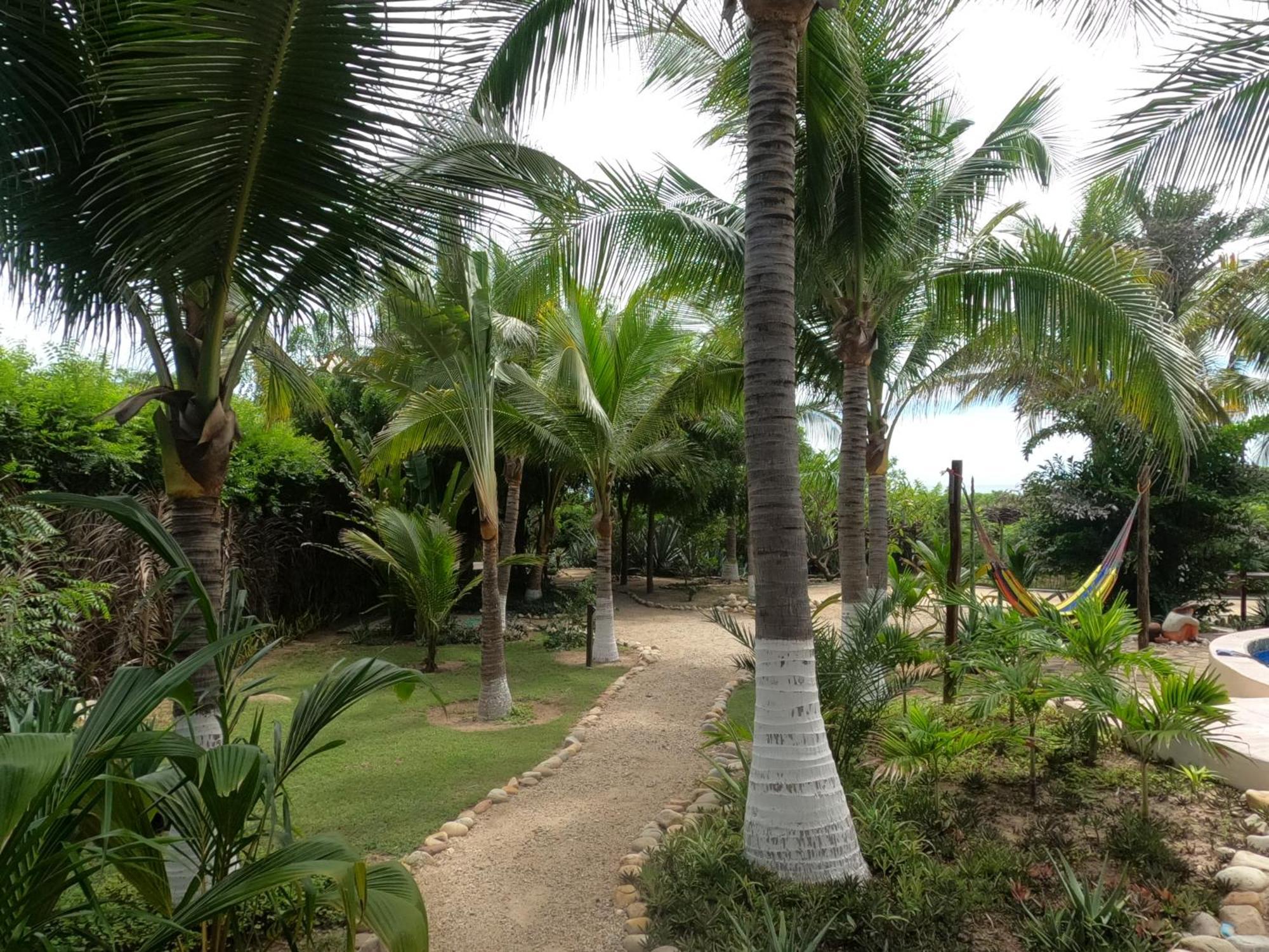 Ocean Oasis Hotel - Adult Only, Four Casitas Boutique Resort Agua Blanca Eksteriør billede